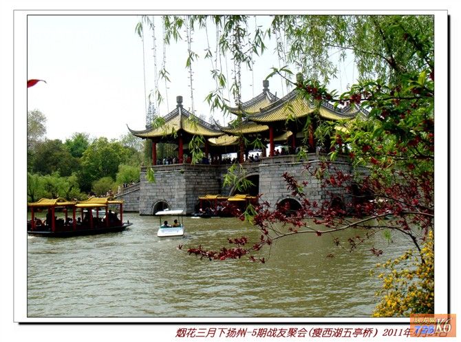 点击在新窗口查看原始图片